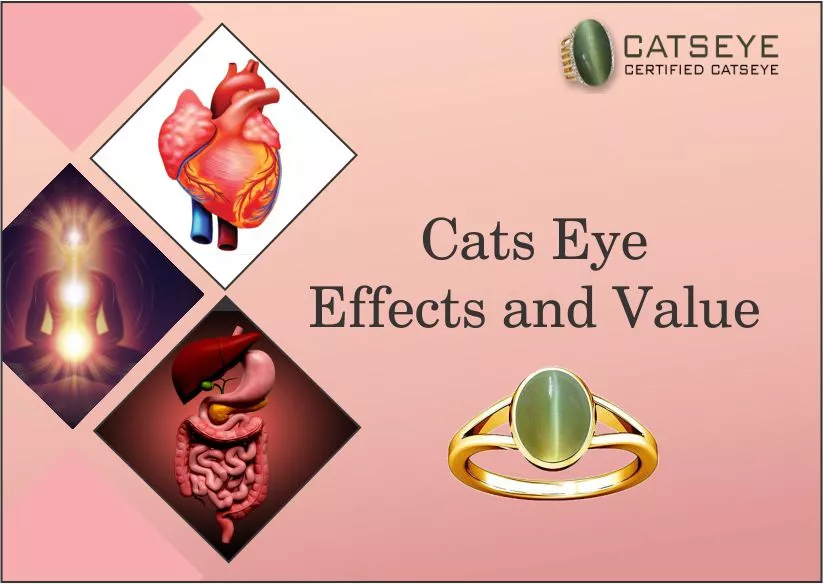 Cats-Eye-Effects-and-Value